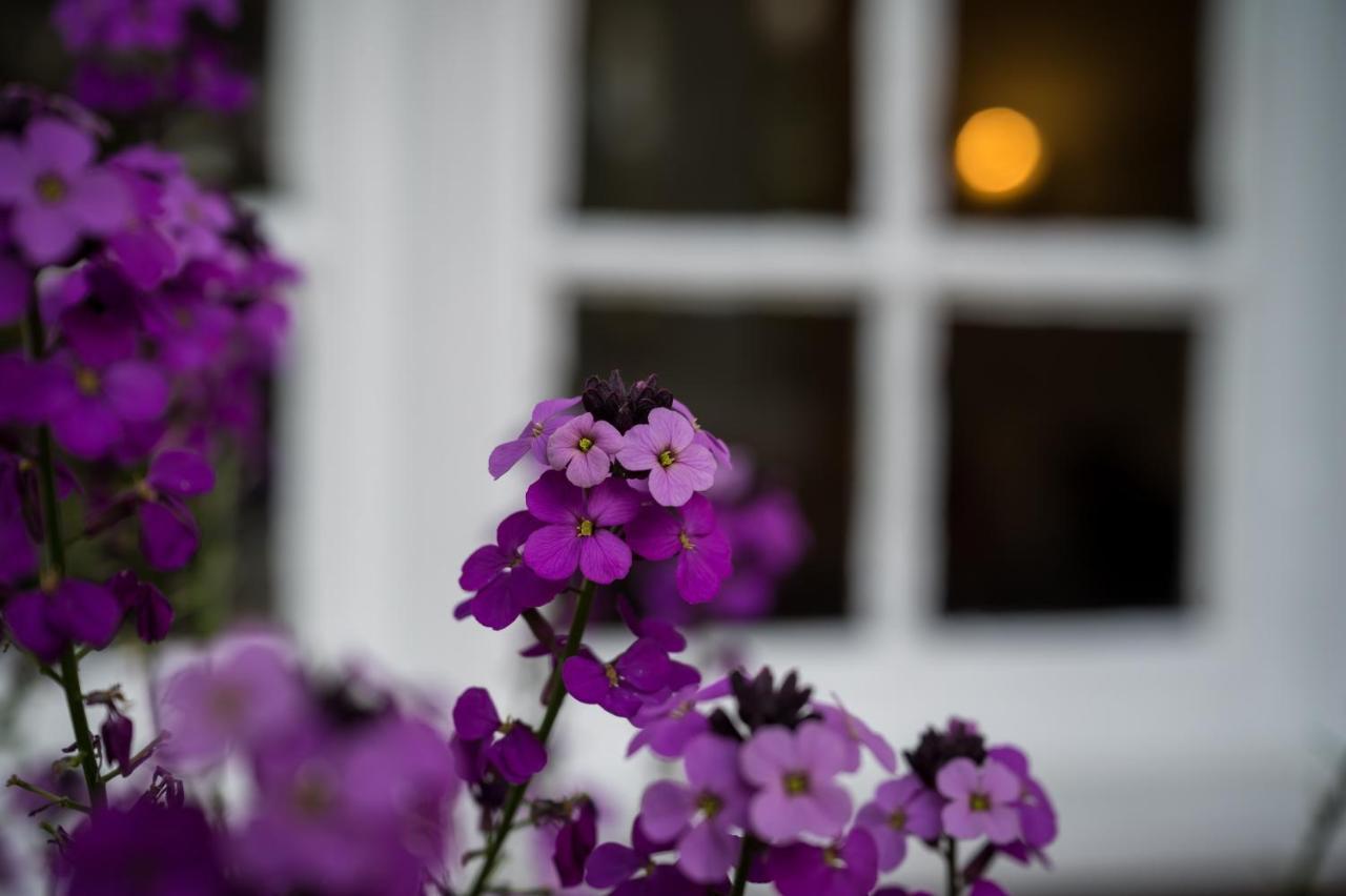 Findon Manor Hotel Eksteriør bilde